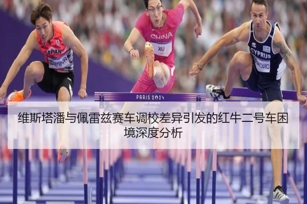维斯塔潘与佩雷兹赛车调校差异引发的红牛二号车困境深度分析